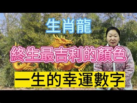 屬龍的幸運數字|運勢爆棚！生肖屬龍者必知的幸運數字、幸運顏色和貴人解析！